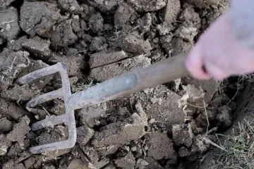 Otac na četvero djece nasrnuo nožem i vilama