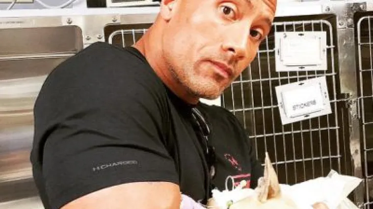 The Rock ima važnu poruku za vlasnike kućnih ljubimaca