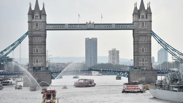 Želuci londonskih riba puni su plastike
