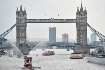 Želuci londonskih riba puni su plastike