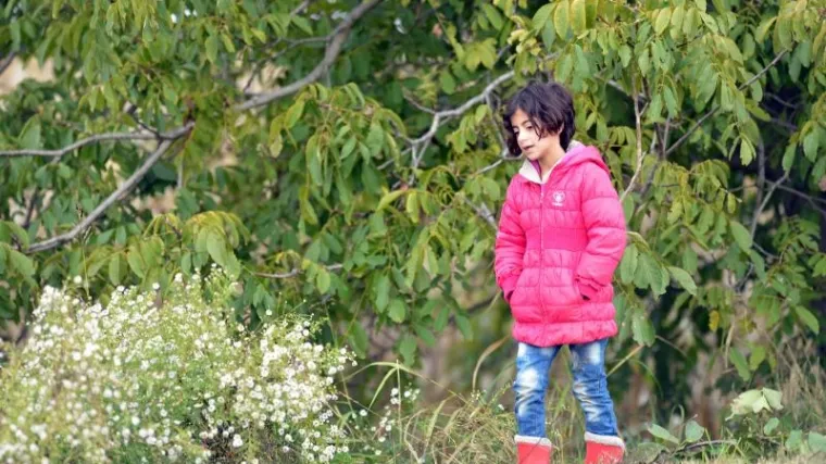 U Hrvatsku u&scaron;lo 99.000 izbjeglica, Srbi kažu: "Nikog država Srbija ne vozi na granicu"