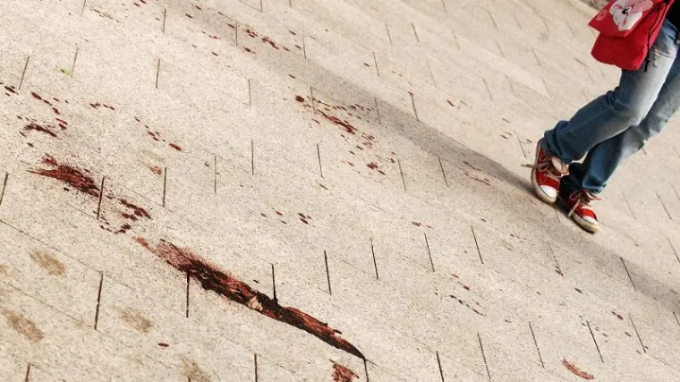 Napili se, posvađaili  i izudarali &scaron;akama