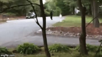 Ako se jo&scaron; ne bojite medvjeda, za koju minutu biste se mogli predomisliti