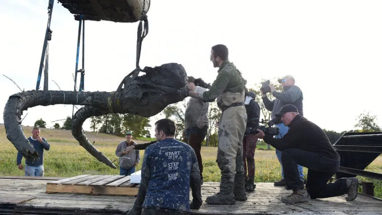 Na njivi pronašao vrijedne ostatke drevne životinje