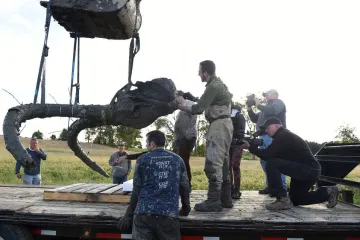 Na njivi pronašao vrijedne ostatke drevne životinje