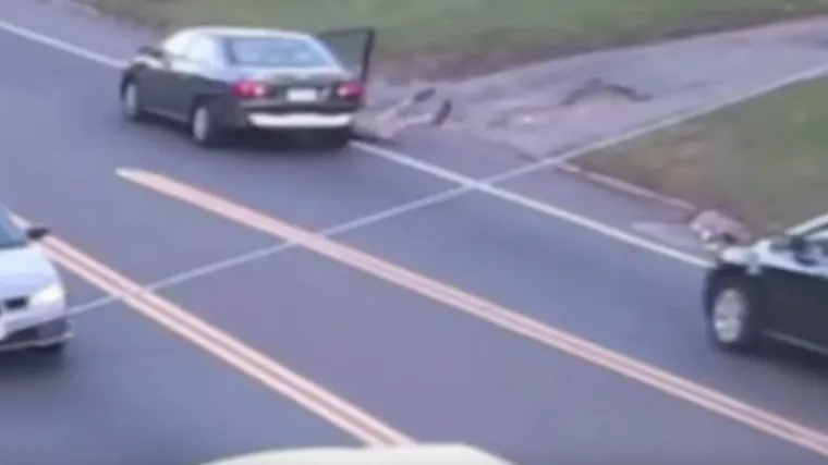 Hrabra i brza tinejdžerka iskočila iz otmičarevog automobila