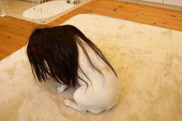 STRAVA I UŽAS: Kukavice ili ne, ovakva strašenja rijetko tko može podnijeti