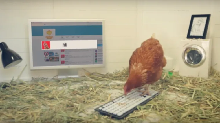 I koko&scaron;i tvitaju! Pogledajte kako!