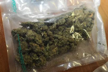 Farmaceutske tvrtke moći će uzgajati kanabis u Hrvatskoj