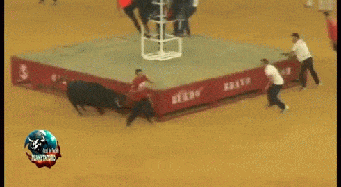 Bik ga nabio na rogove, ali mu samo skinuo gaće