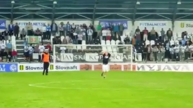 Utrčao na travnjak i ubrzo zaspao pred očima čitavog stadiona