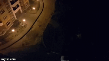 Izvadio laser i poigrao se sa psima na urnebesan način