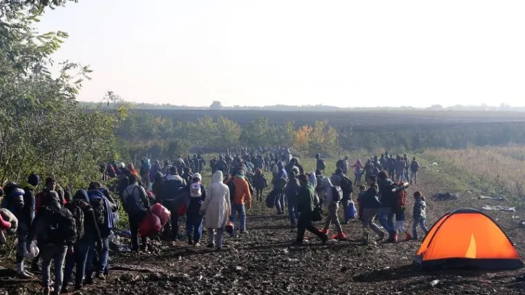 Izbjeglice zaobilaze policiju i masovno preko polja ulaze u Hrvatsku