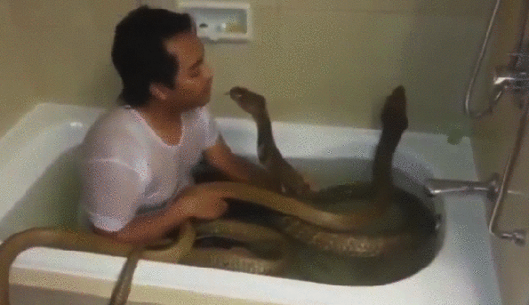 Ljubomora ne poznaje vrstu