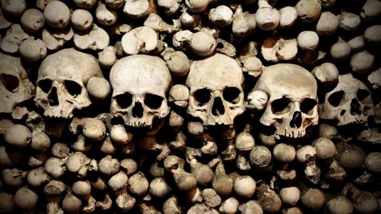 Kuga je mučila čovječanstvo 3000 godina prije nego što se mislilo