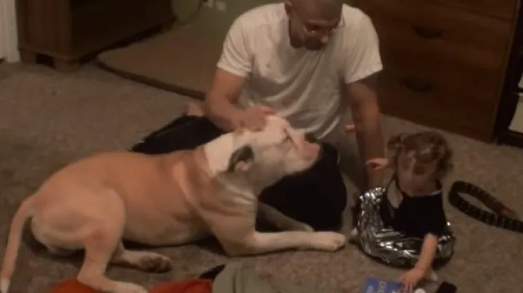 "Opasan" pas koji se zna smiriti u pravom trenutku