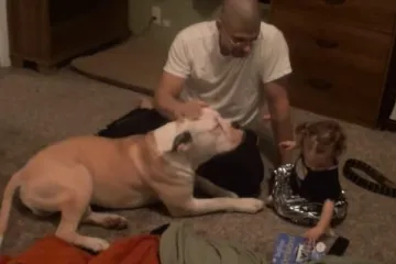 "Opasan" pas koji se zna smiriti u pravom trenutku