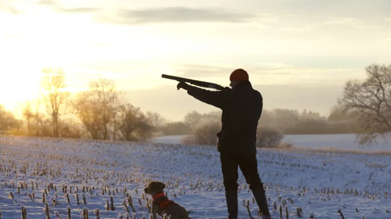 Pas nastrijelio svoju vlasnicu: da bizarnost bude veća, labrador se zove 'Okidač'