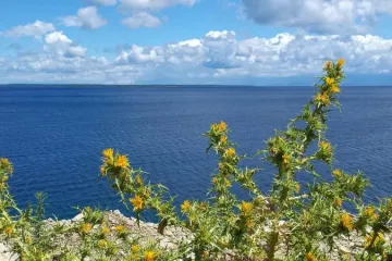 Ustali iz groba nakon 20-ak godina radi zemlje uz more