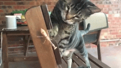 David protiv Golijata