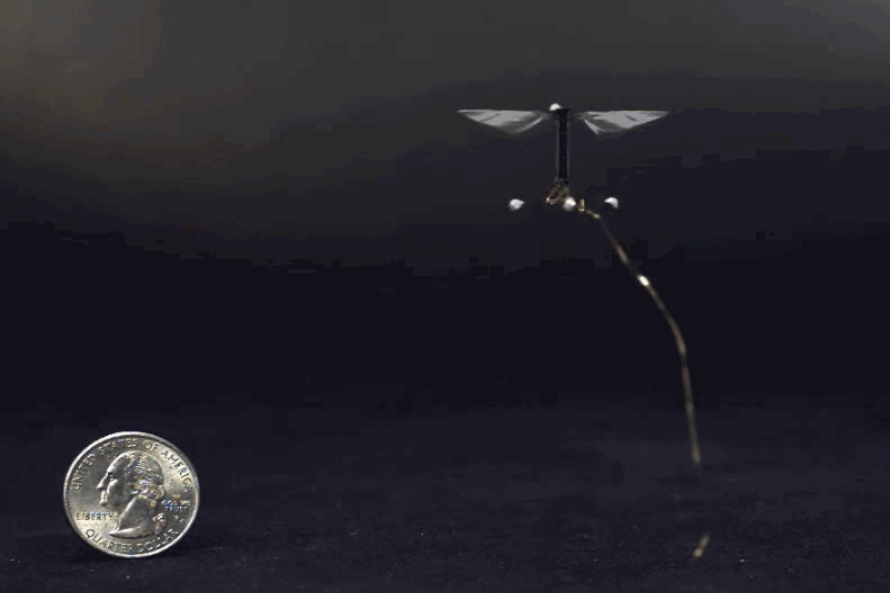 U nedostatku pravih kukaca, za oprašivanje izrađuju sitne robote