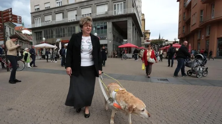 Taksist odbio povesti slijepu osobu sa psom vodičem, bit će kažnjen ako se podnese prijava