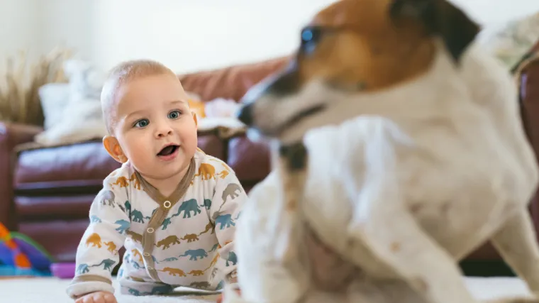 Djeca koja odrastaju sa psom u kućanstvu imaju manji postotak opasnosti od razvoja astme
