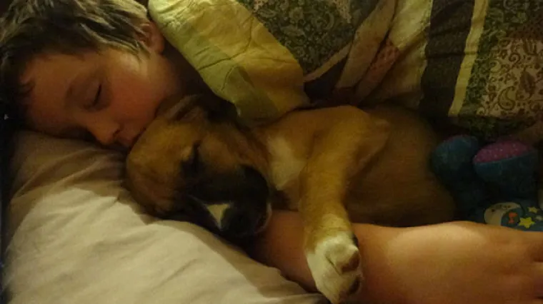 Djeca koja imaju psa imaju i manje &scaron;anse da obole od astme