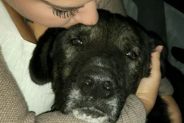 "Ako ne uzme antibiotike, uginut će"