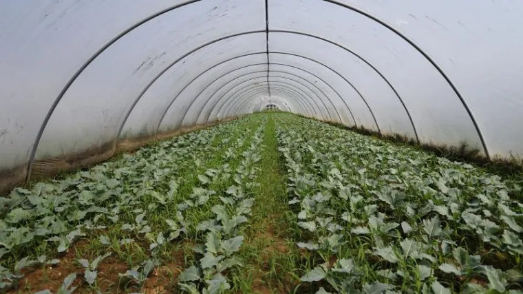 Poznati američki brand otpustit će čak 2.600 radnika