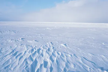 Na Antarktici nastaje više leda nego što ga gubi