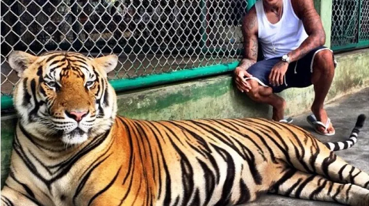 "Kinezi nisu zločesti kao Hrvati"