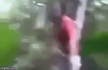 Kakva sve čudovi&scaron;ta vrebaju &scaron;umom, pravo je čudo da nije usosio gaće