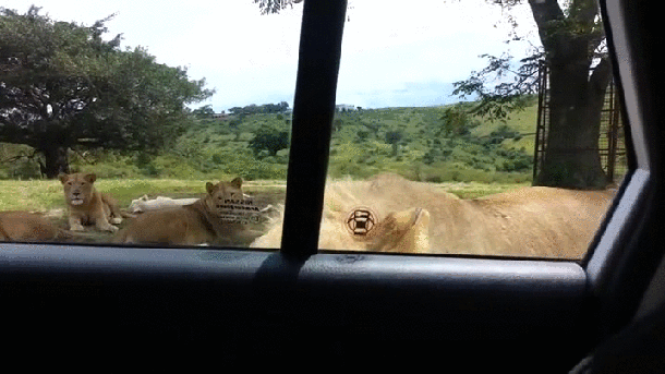 Ono kad shvatite da imate jo&scaron; koju sekundu do smrti
