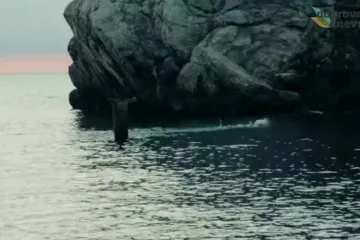 Ranojutarnji trening zamjenika gradonačelnika Dubrovnika