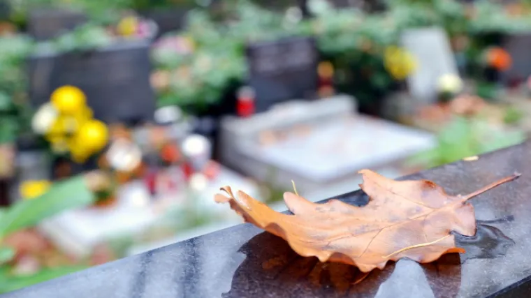 Poslovi za koje ne biste vjerovali da su toliko unosni!