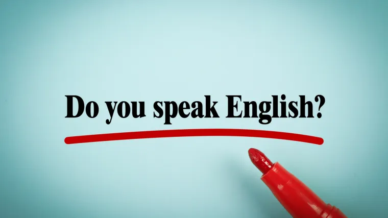 Koliko jezika neke od najvećih web-stranica poznaju?