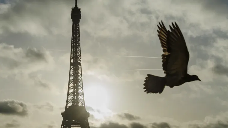 I tri hrvatske nacionalne televizije će odati počast žrtvama terorističkih napada u Parizu