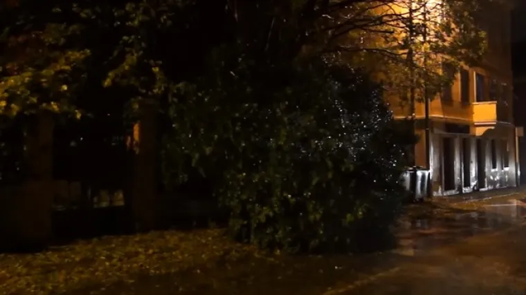 Snažna bura ru&scaron;ila stabla po Puli