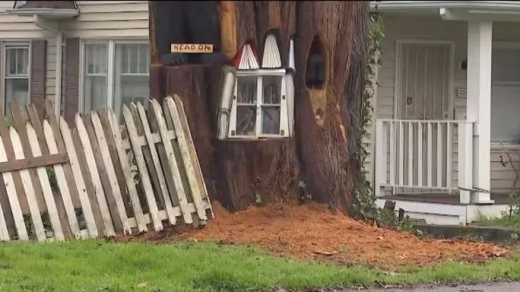 Gradske joj vlasti rekle kako staro stablo ispred kuće mora posjeći, a ona učinila nezamislivo!
