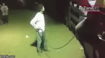 Bik ga stvarno iznenadio! Što god očekivali, kladimo se da će iznenaditi i vas