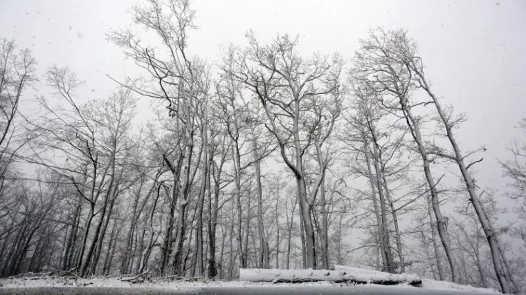 Ova godina vjerojatno će postati najtoplija od početka mjerenja