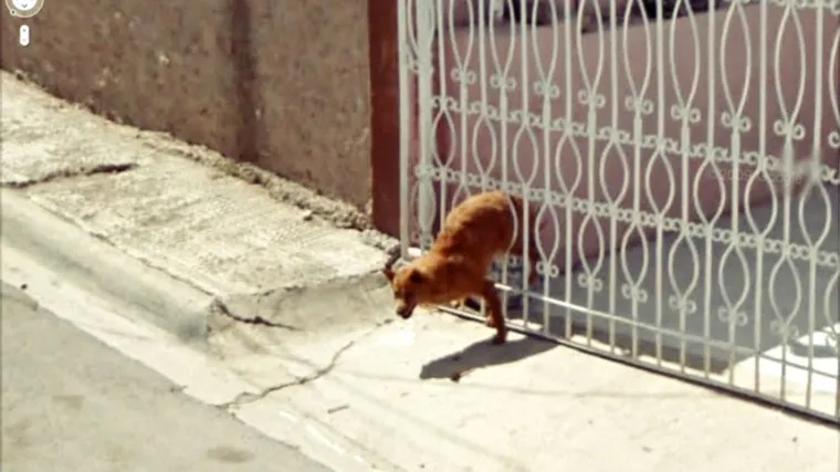 Google ih uhvatio u krivom trenutku