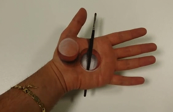 &Scaron;minka može stvarno prevariti čovjeka