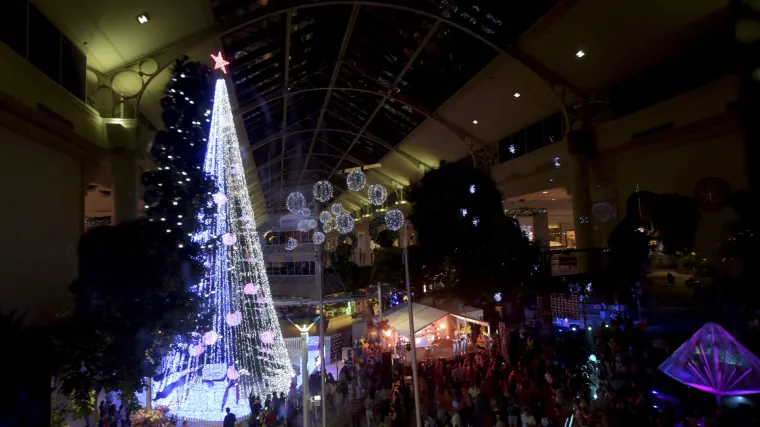 U Australiji oboren svjetski rekord u broju lampica: na božićnom drvcu njih čak 518.838!