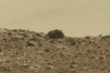 Rover snimio nešto neobično na Marsu, a NASA šuti...