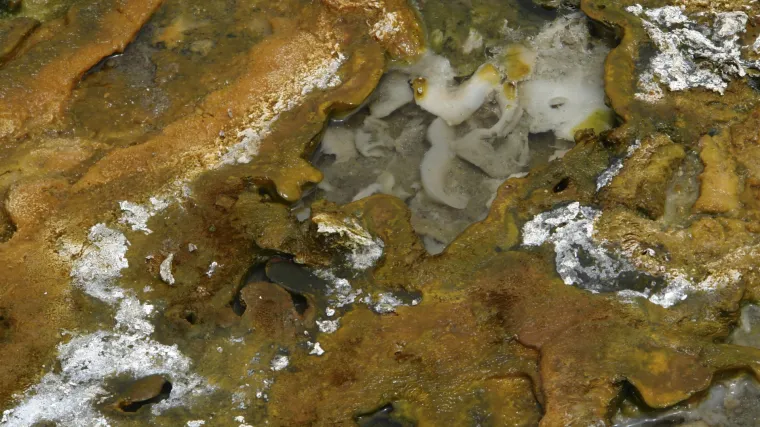 Praiskonska juha u službi medicine