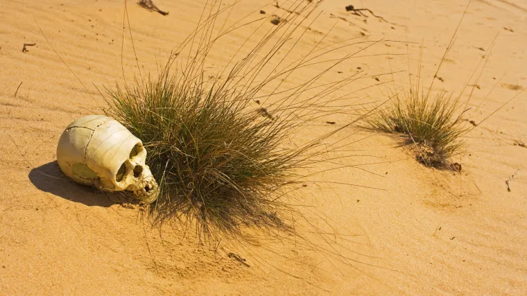 Kada smo skoro nestali s lica Zemlje