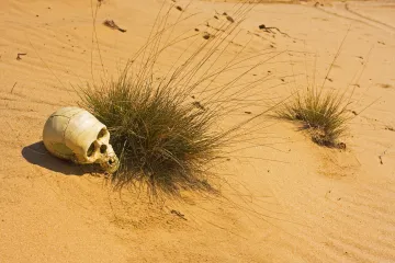 Kada smo skoro nestali s lica Zemlje