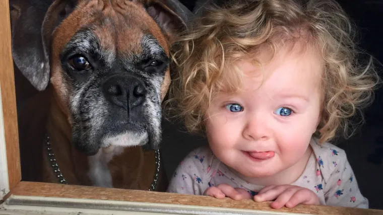 Kao da je od šećera, snijeg je njima prava senzacija